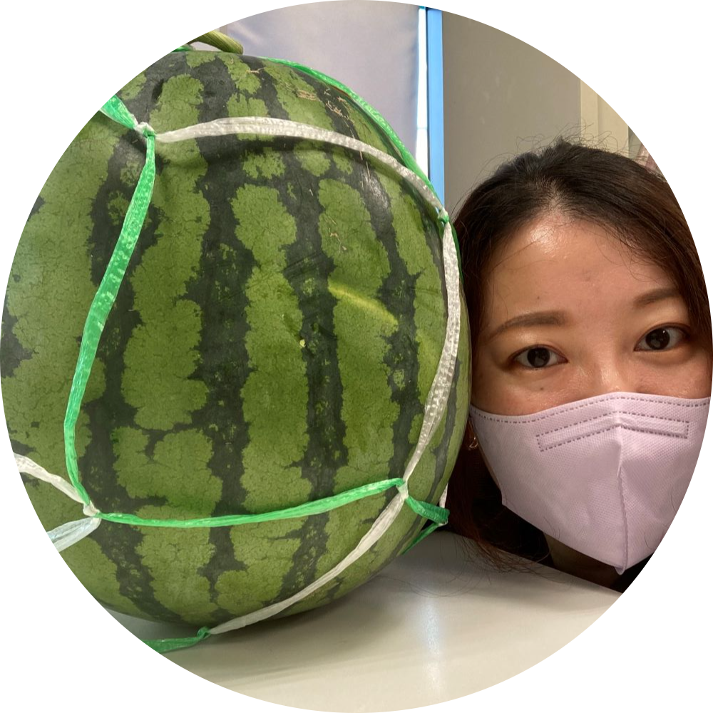 方壁あゆみ